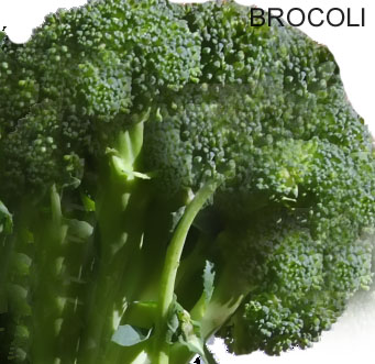 brocoli